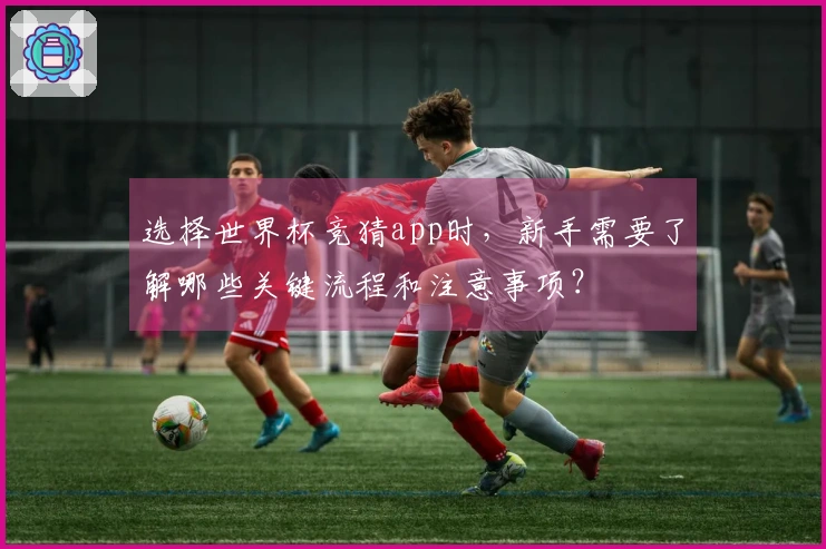 选择世界杯竞猜app时，新手需要了解哪些关键流程和注意事项？
