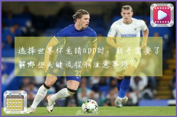 选择世界杯竞猜app时，新手需要了解哪些关键流程和注意事项？