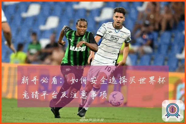 新手必看：如何安全选择买世界杯竞猜平台及注意事项