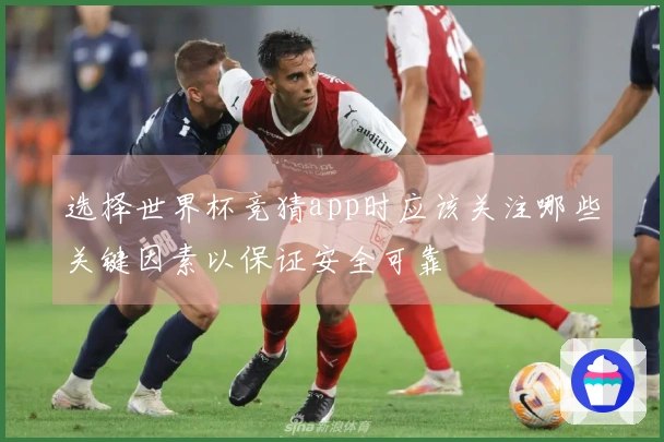 选择世界杯竞猜app时应该关注哪些关键因素以保证安全可靠